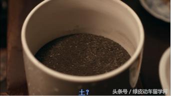 深夜食堂人世间所有的爱恨别离,深夜食堂里的百味人生