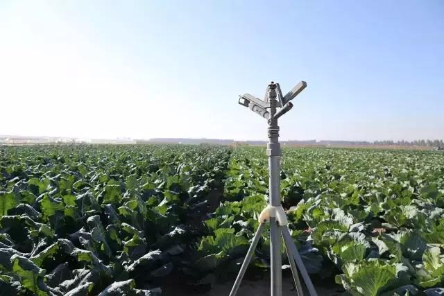 未来创业十大赚钱方法,当今最赚钱的6个创业项目