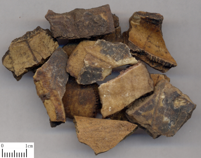 老婆饼里没老婆，龟苓膏中有没有“龟”