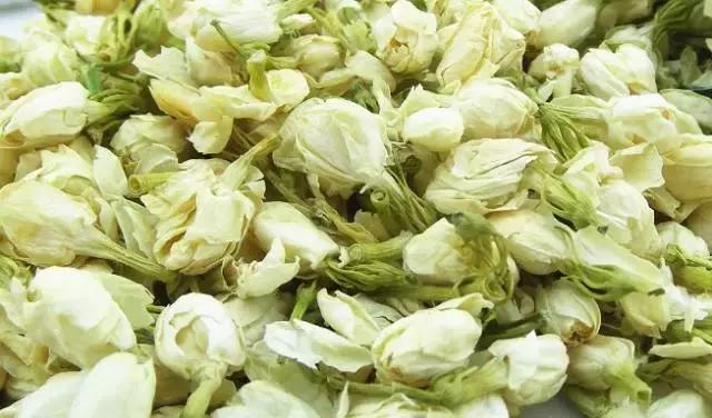 能驱虫的花,什么花养在家里可以净化空气