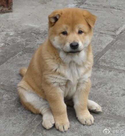 最不被关注的群体，最痛心的情节，最具现实的写照，最动人的故事