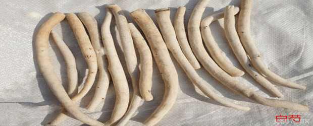 白芍正确使用方法,白芍的最佳食用方法