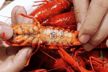 合肥深夜食堂晚餐,合肥深夜盒饭食堂