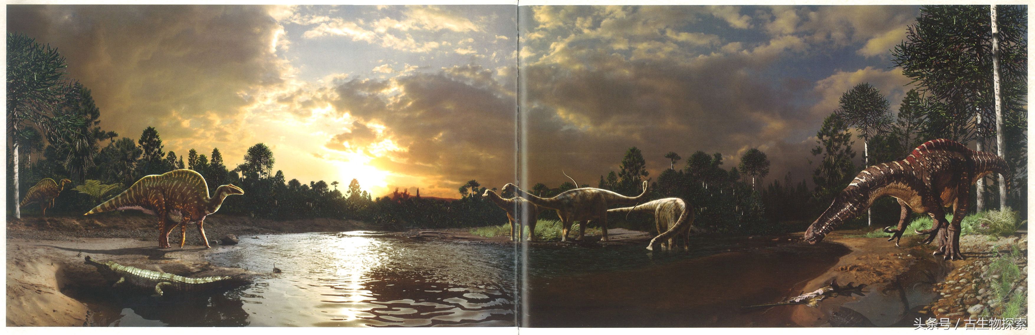 尼日尔龙：恐龙中的吸尘器