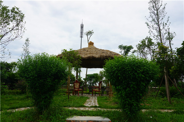 成都柴火鸡烤全羊江湖菜,岳塘区湘江小院烤全羊