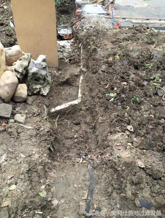 简单实用小庭院鱼池,庭院鱼池改造设计图片