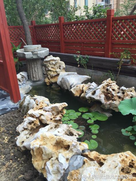 简单实用小庭院鱼池,庭院鱼池改造设计图片
