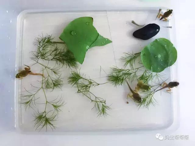 美国妈妈购物买文具,美国妈妈必备用品