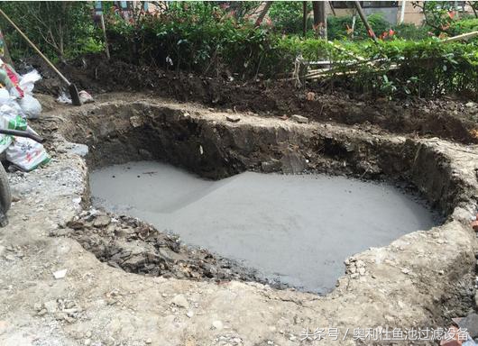 简单实用小庭院鱼池,庭院鱼池改造设计图片