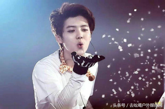 鹿晗做的广告有哪些,鹿晗广告收入怎么样