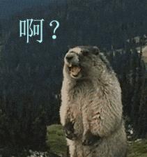 你的QQ号申请了多少年？现在几级了？