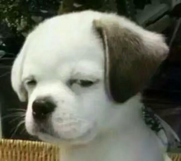 英语六级缺考一次会怎样,大学英语六级考试不及格算挂科吗