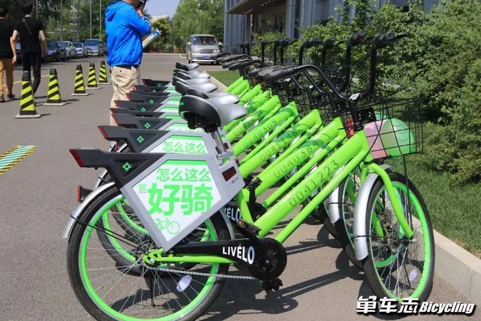 北京文化节2024时间表,北京市汽车文化节