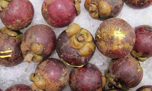 山竹皮可以直接泡水喝吗,山竹壳泡水吃有哪些功效