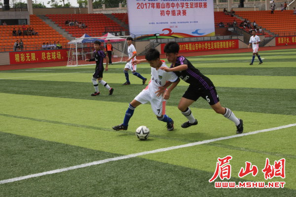 眉山市中小学足球比赛视频洪雅,眉山青少年足球比赛