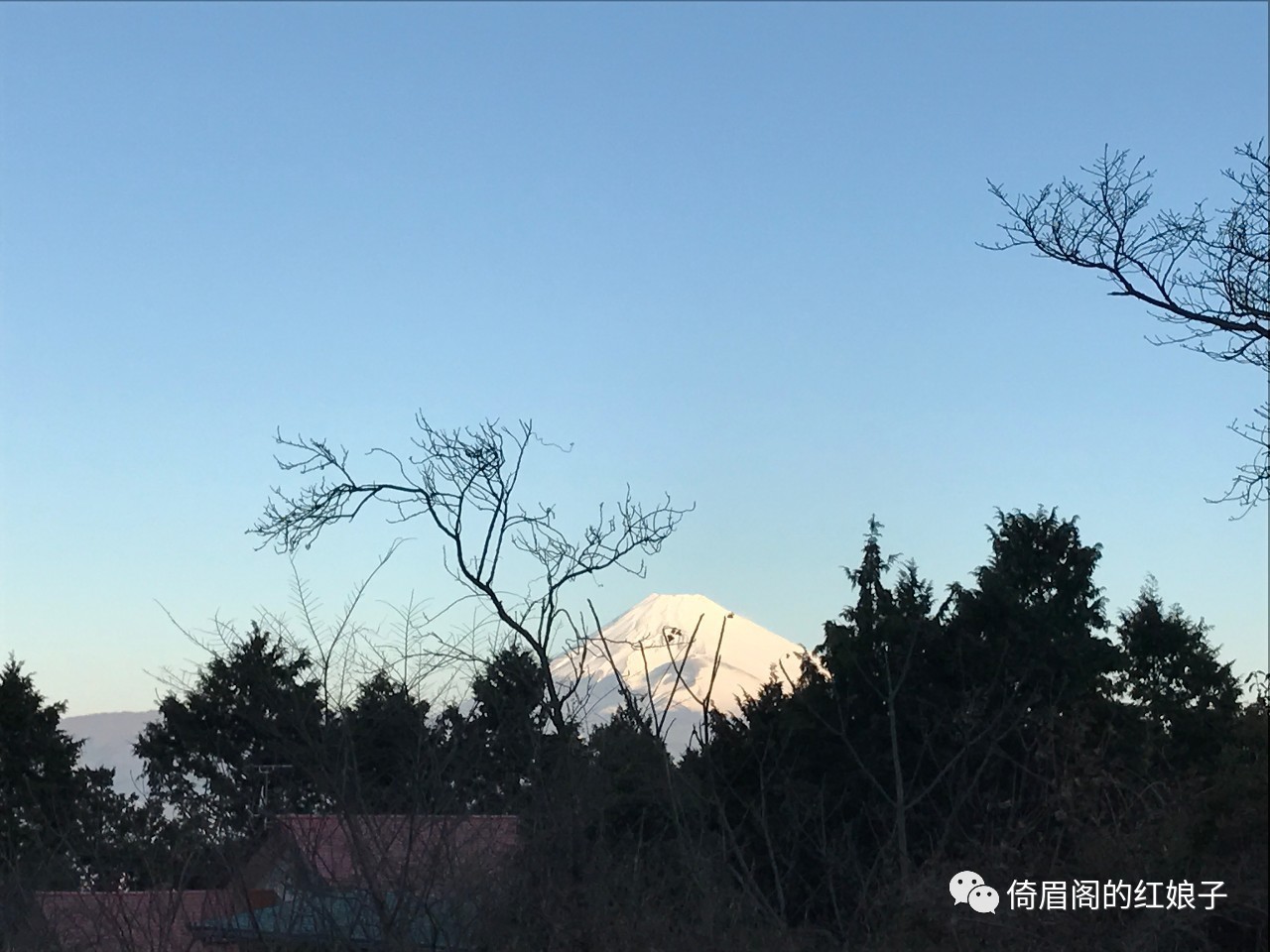 分裂与纠结——浮光掠影看日本