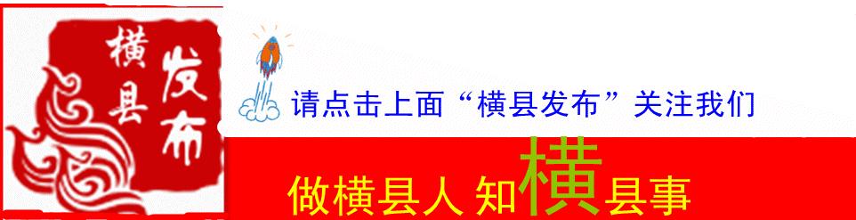 广西横县甜玉米种子,广西横县青桐甜玉米种