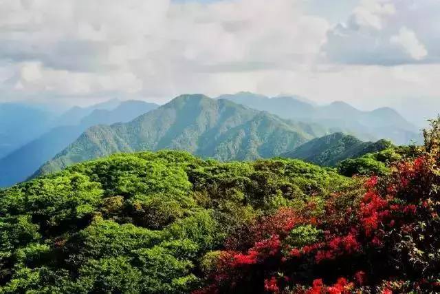 清远值得看看的地方,清远山清水秀的地方有哪些