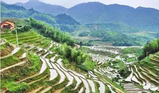 清远值得看看的地方,清远山清水秀的地方有哪些