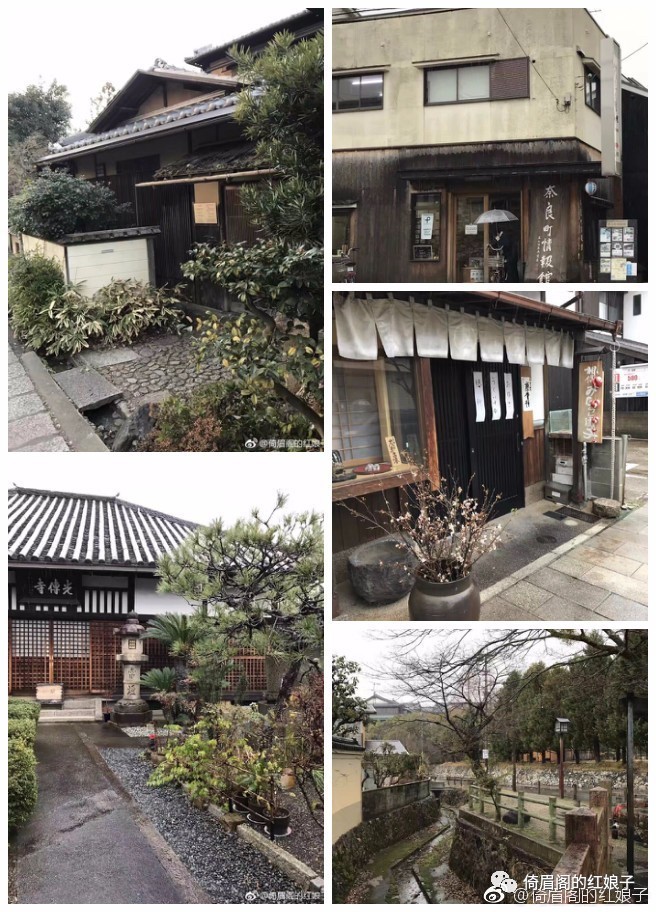 分裂与纠结——浮光掠影看日本