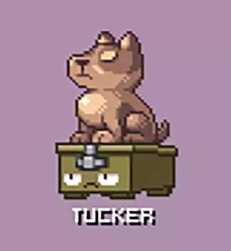 精灵宝可梦在现实中长什么样,精灵宝可梦到底是中国还是日本的