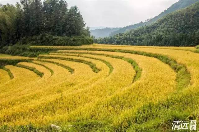 清远值得看看的地方,清远山清水秀的地方有哪些