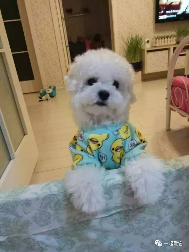 宠爱故事100个,宠爱剧情梗概