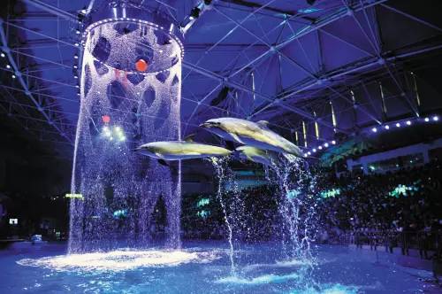 大连免门票景点攻略大全,大连免门票景区攻略大全