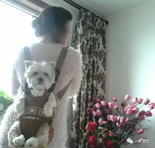 宠爱故事100个,宠爱剧情梗概