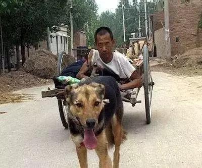 忠爱无言终其一生,忠爱无言相濡以沫