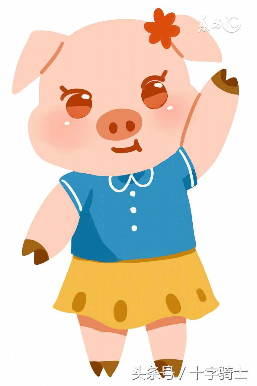 属猪每日五行穿衣运势,属猪五行运势