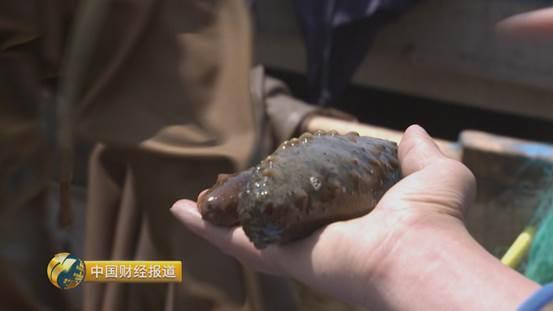 十亩水库养鱼一年收益,一亩鱼塘养鱼的收益