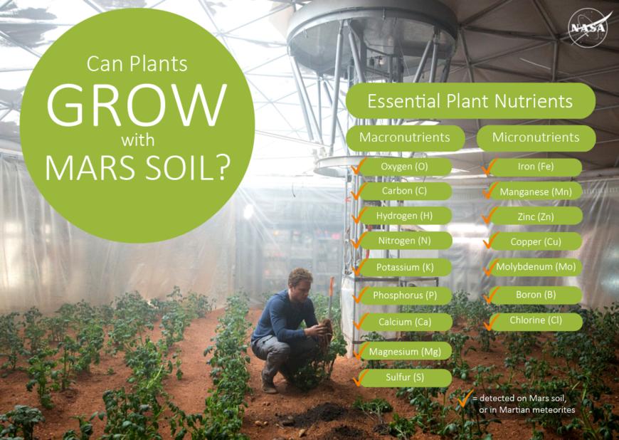 elonmusk鐏槦璁″垝,elonmusk鐏槦