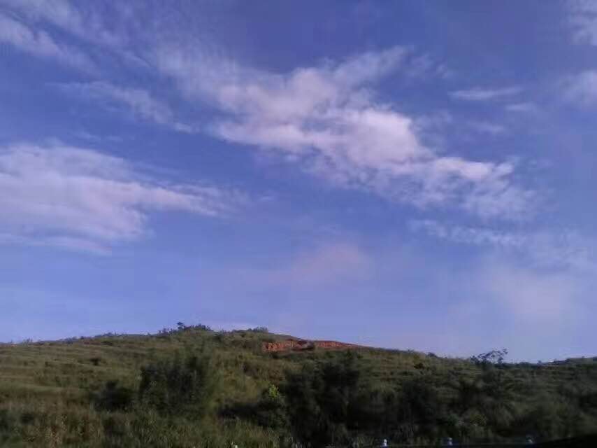 乌鲁木齐黄泥巴烤鸡,黄泥巴烤鸡的正宗做法