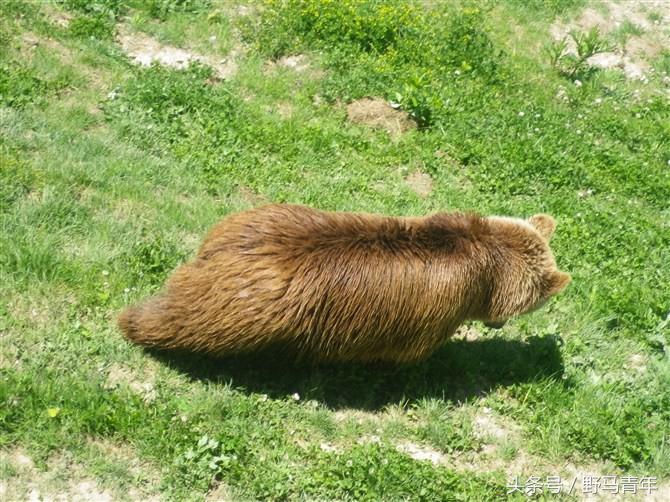 迟到一年的毕业之旅,从中国出发环游欧洲各国线路