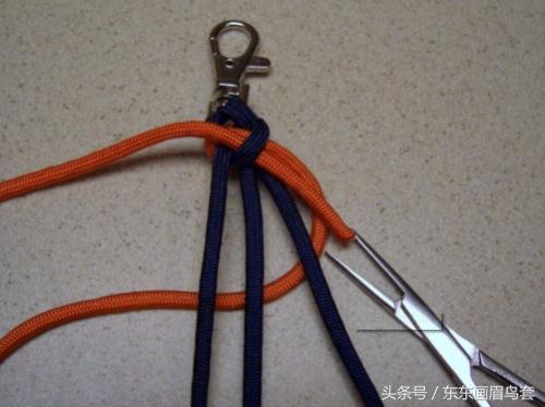 东东画眉鸟套之各种好看实用的绳套你了解吗？