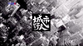 想红吗？办公室小野、二更、陈翔六点半要把他们爆红的秘诀教给你