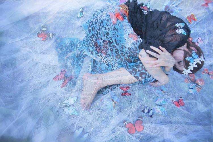 美丽蝴蝶结的照片,美丽蝴蝶结视频