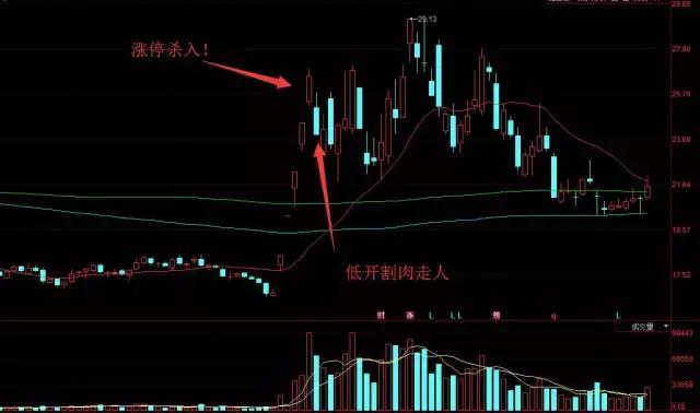 “巨熊”新都退开板，一场1.96亿的豪赌！