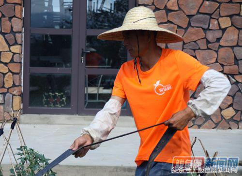 鲅鱼圈小望海生态园,鲅鱼圈望海寨村长