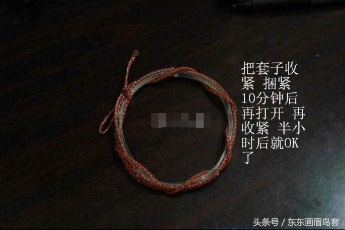 东东画眉鸟套之各种好看实用的绳套你了解吗？