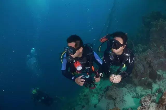 在中国当一名自由职业者是什么感受：自律着，不安着