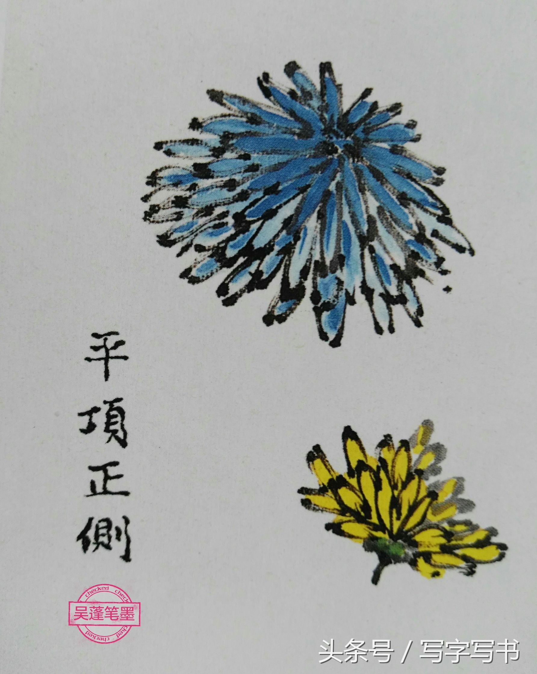 工笔画梅兰竹菊画法大全第一部分,墨牡丹花画法技巧