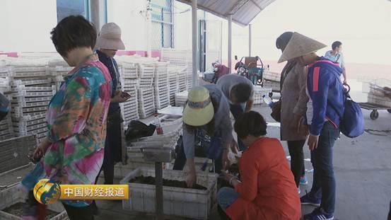 十亩水库养鱼一年收益,一亩鱼塘养鱼的收益