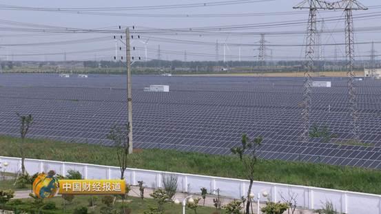 十亩水库养鱼一年收益,一亩鱼塘养鱼的收益