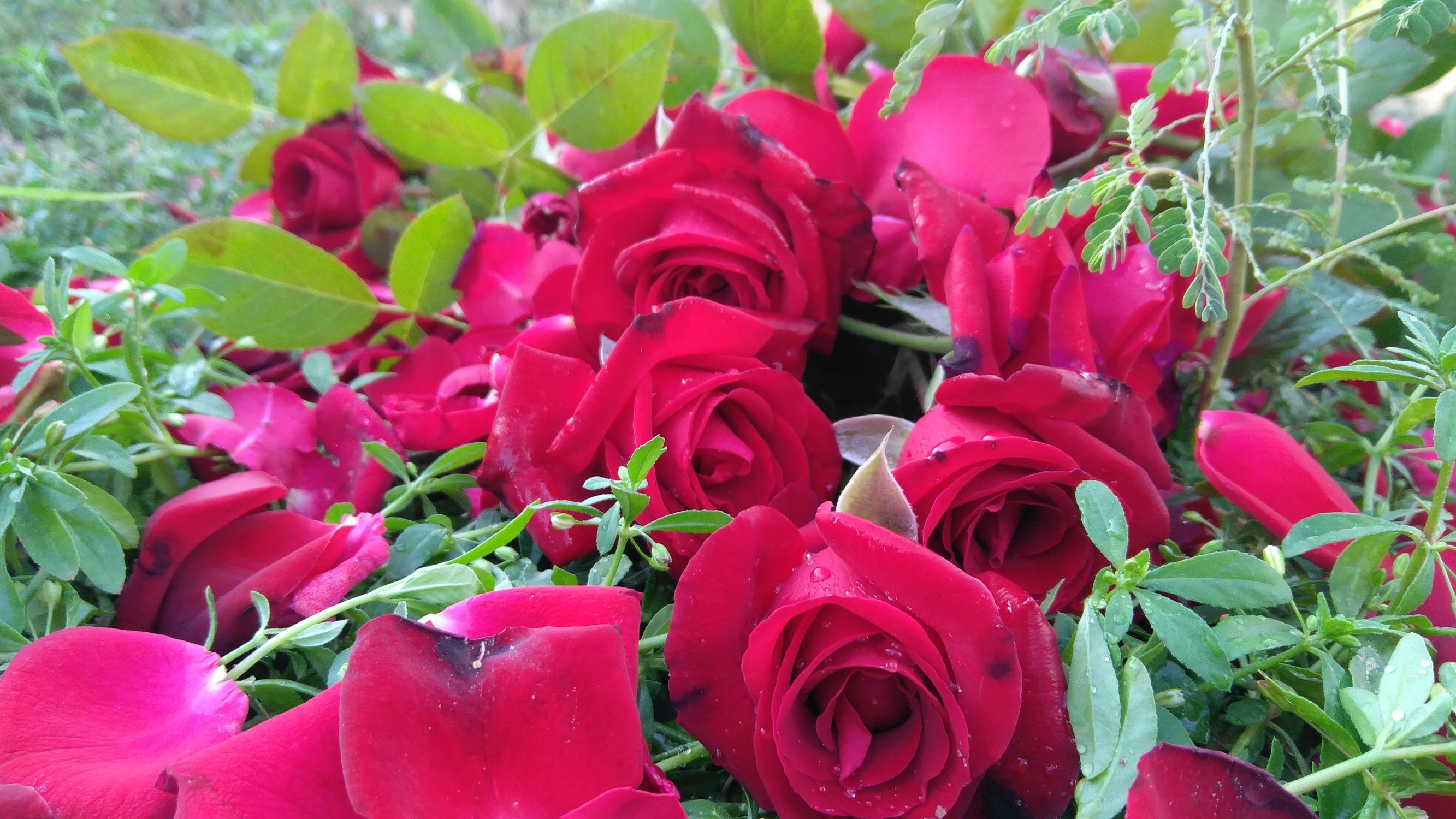 热门手机资料汇总“游戏续航时间、手机充电时间还有价格”想要在暑假里，买手机的老铁们注意了