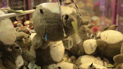 钱是最可靠的东西可以带来安全感,最有安全感的东西就是钱