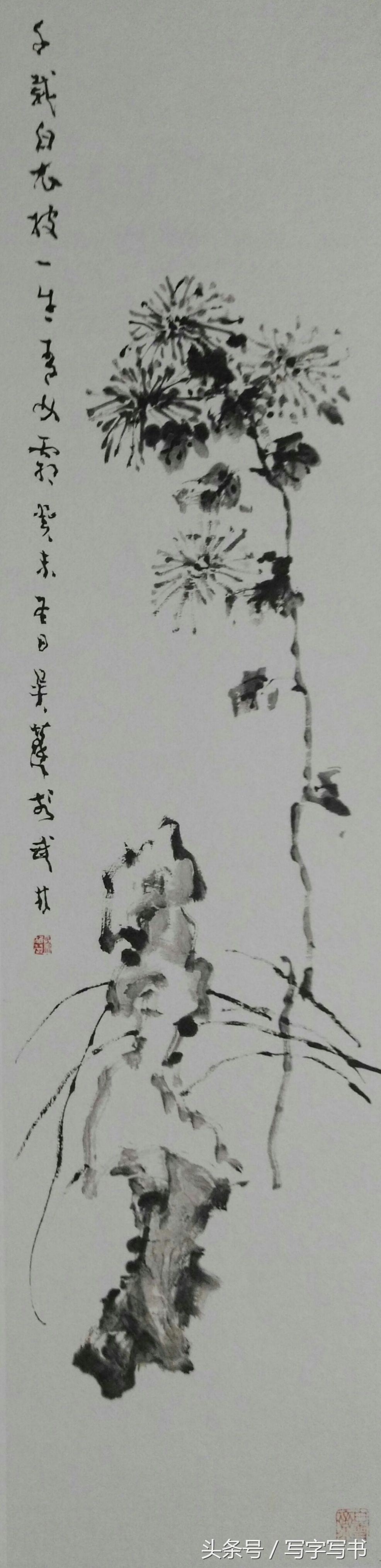 工笔画梅兰竹菊画法大全第一部分,墨牡丹花画法技巧