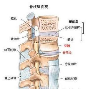 腰椎骨质增生怎么治疗最好得快,中医正骨能治骨质增生吗
