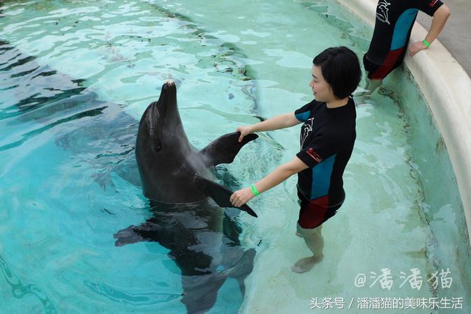 新加坡圣淘沙一日游路线图,新加坡圣淘沙游玩攻略费用